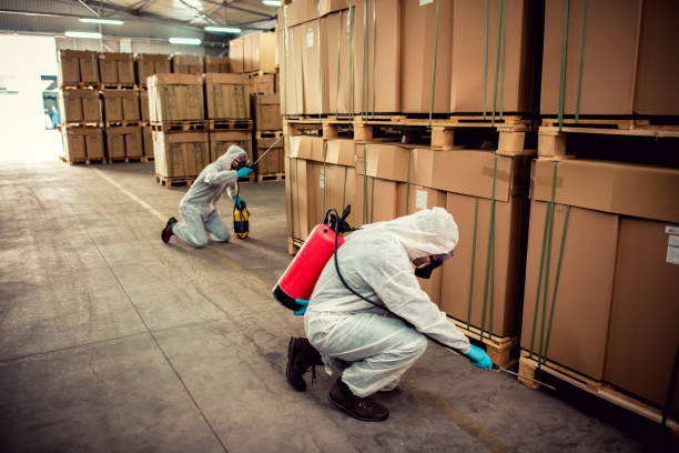 Best Wasp Removal Services  in Eielson Af, AK
