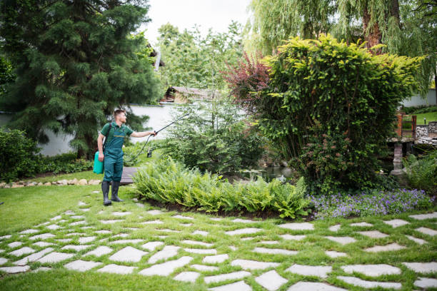 Best Mosquito Control Services  in Eielson Af, AK