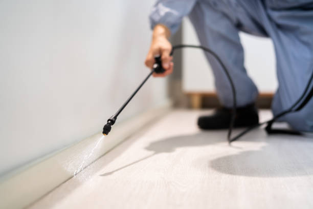 Best Local Pest Control Services  in Eielson Af, AK