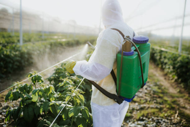 Best Pest Control for Restaurants  in Eielson Af, AK